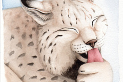 Illustration-CalendrierAvent-Lynx