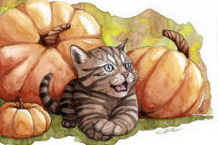 ClaireLemoine-Illustration-Chat-Halloween