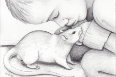 ClaireLemoine-Illustration-Garcon-Rat