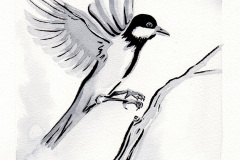 ClaireLemoine-Inktober-10-Oiseau