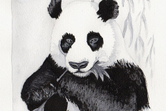 ClaireLemoine-Inktober-17-Panda