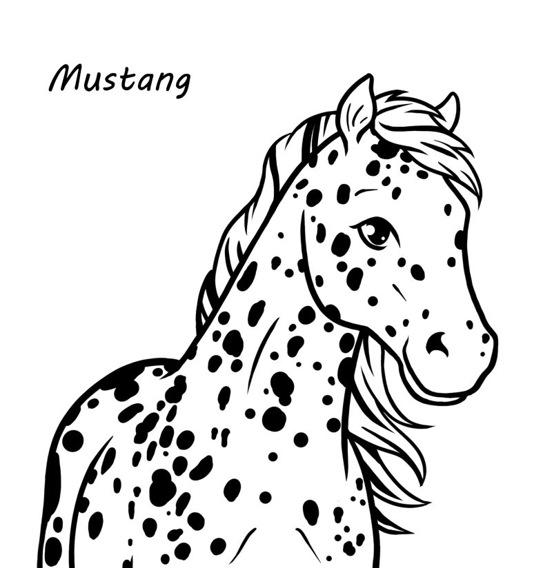 Livre Taches et rayures - Mustang