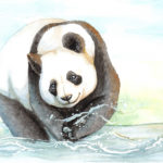 Panda jouant dans l'eau