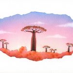Madagascar-Baobabs