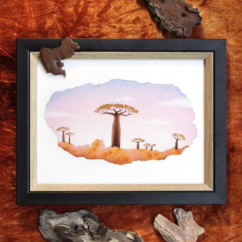 Madagascar-Baobabs