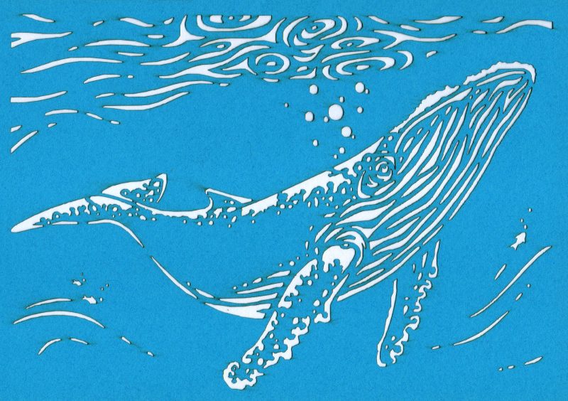 Carte découpée cricut motif baleine