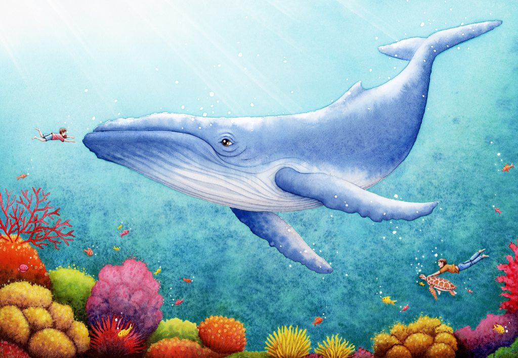 Aquarelle baleine