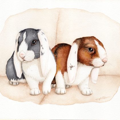 Commande d'aquarelle, portrait de lapins béliers